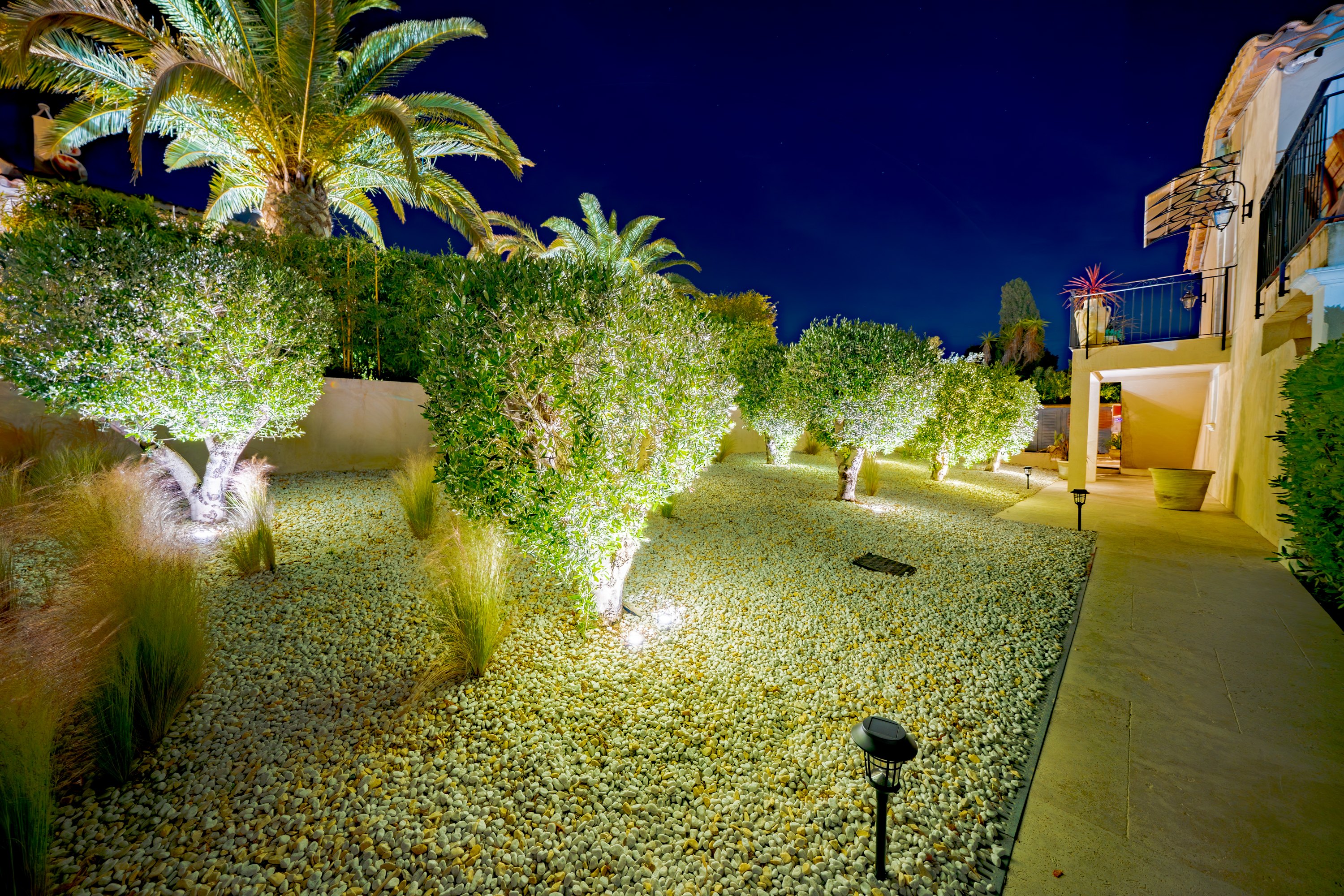 Jardin de nuit